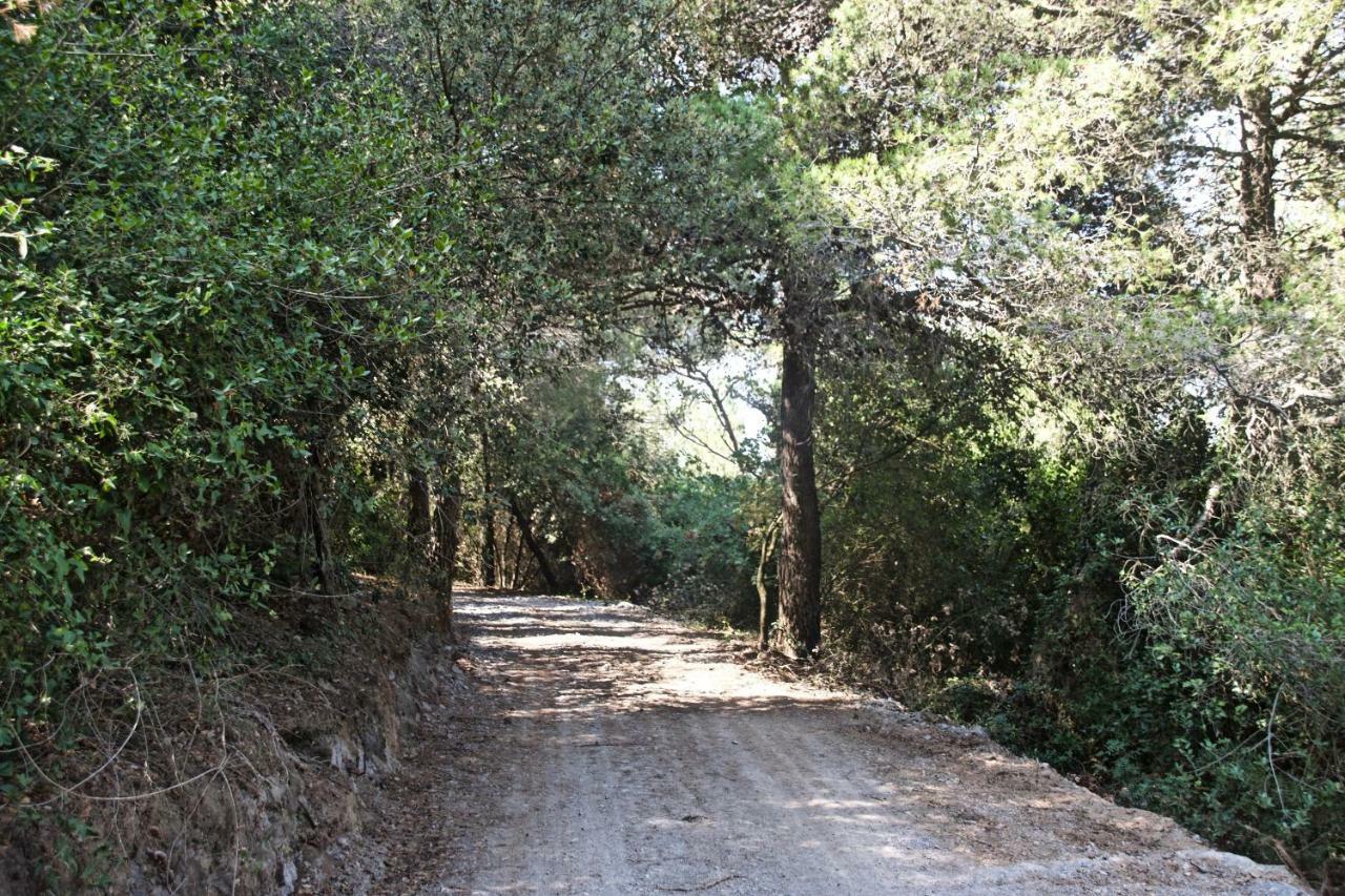 Casa Vacanze A Lea L'Ua Finale Ligure Kültér fotó