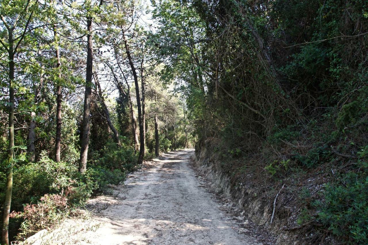 Casa Vacanze A Lea L'Ua Finale Ligure Kültér fotó